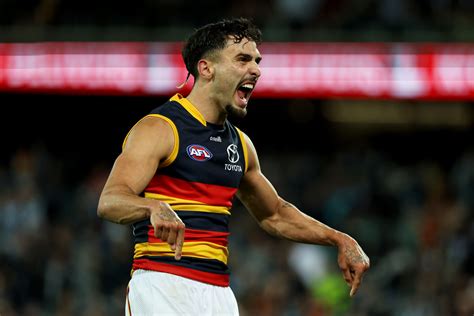 adelaide crows news